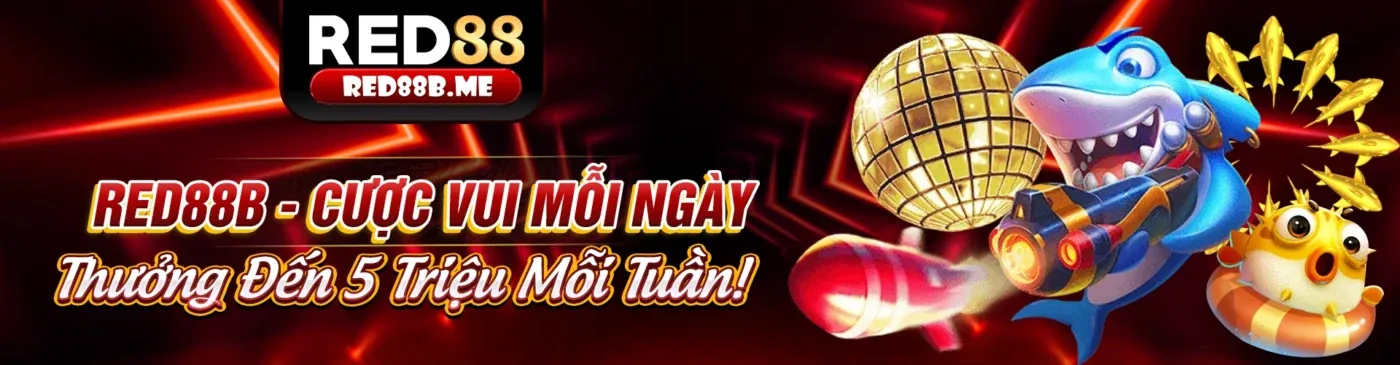 Hình ảnh đại diện cho Chính sách Quyền riêng tư của 8888vnd nhà cái, thể hiện sự bảo mật và an toàn dữ liệu